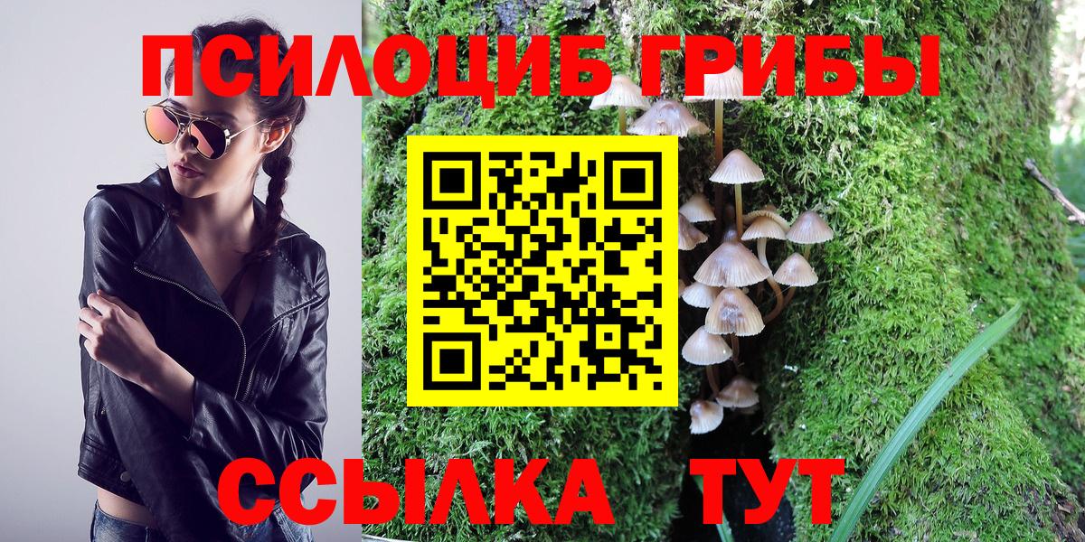 Псилоцибиновые грибы Magic Shrooms Тверь