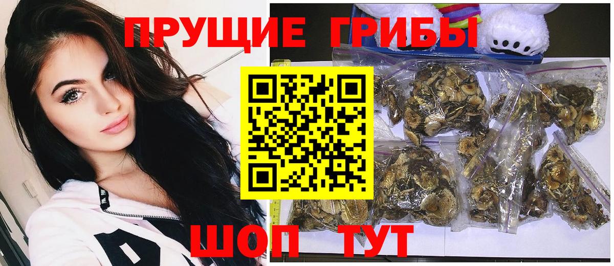 Галлюциногенные грибы Cubensis  Псилоцибиновые грибы MAGIC MUSHROOMS  Вход с VPN  Тверь 